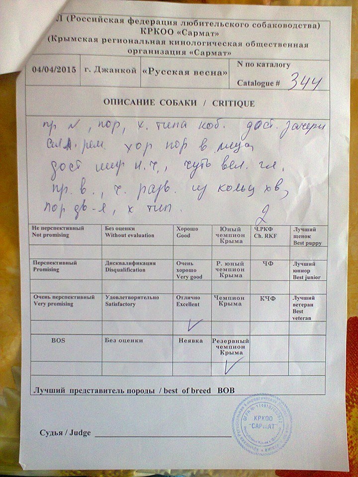  Асса.jpg